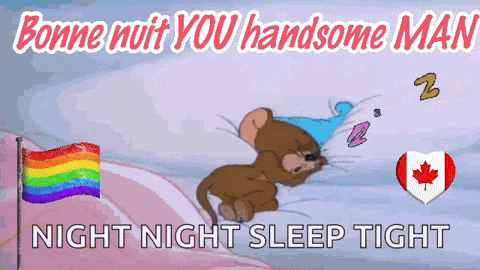 Cartoon Mouse Sleeping Near Rainbow Flag And Maple Leaf GIF