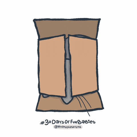 Cartoon Moving Cat Box GIF