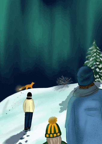 Cartoon Northern Lights Moment GIF