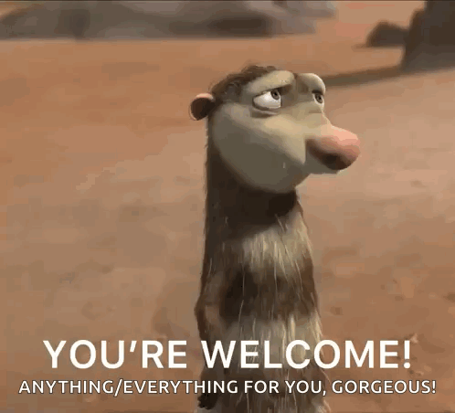Cartoon Opossum Saying You're Welcome Gorgeous GIF