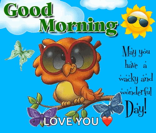 Cartoon Owl in Sunglasses Saying Good Morning May You Have a Wacky and Wonderful Day