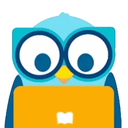 Cartoon Owl Looking at Laptop