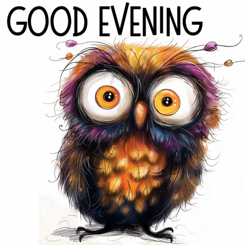 Cartoon Owl With Big Eyes Good Evening