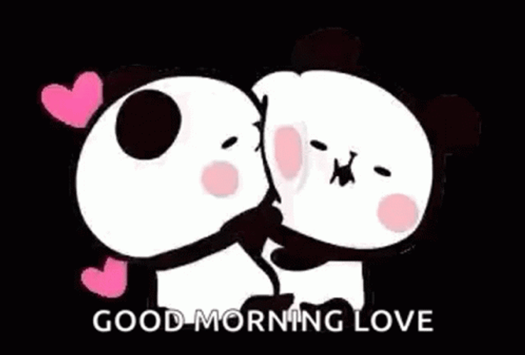 Cartoon Panda Good Morning Love GIF