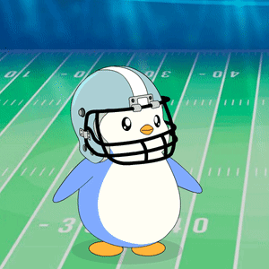 Cartoon Penguin in Football Helmet