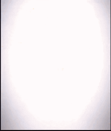 Cartoon Person Covering Head With Hands GIF