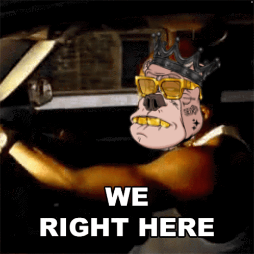 Cartoon Pig in Sunglasses and Crown Driving Car We Right Here