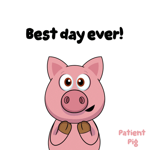 Cartoon Pig Saying Best Day Ever And Yes GIF
