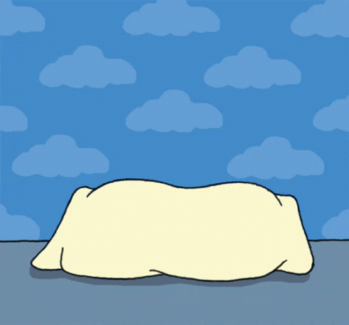 Cartoon Pillow With Rose Sweet Dreams