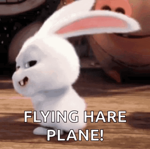 Cartoon Rabbit Flying Hare Plane