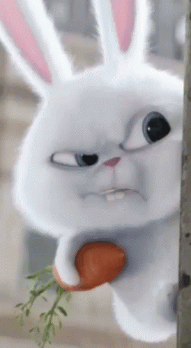 Cartoon Rabbit Holding Carrot