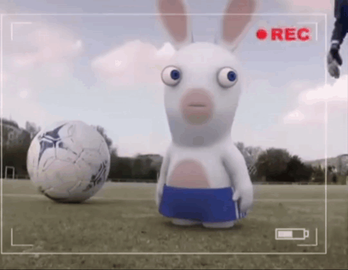Cartoon Rabbit Next To Soccer Ball With Rec Button GIF