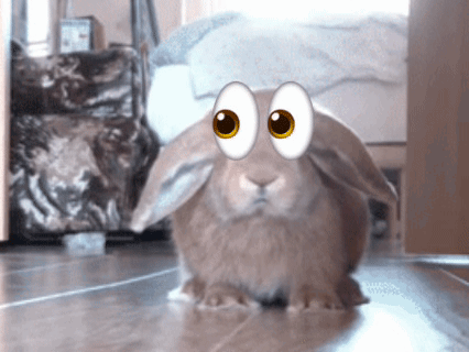 Cartoon Rabbit Saying Wtf Seriously GIF
