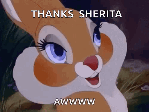 Cartoon Rabbit Smiling Thanks Sherita