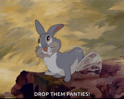 Cartoon Rabbit Standing on Log Saying Drop Them Panties