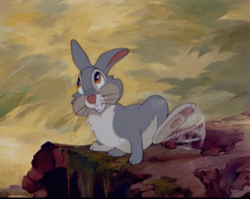 Cartoon Rabbit Standing on Rock Looking at Camera