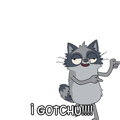 Cartoon Raccoon Saying I Gotchu