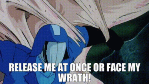 Cartoon Release Me At Once Or Face My Wrath GIF