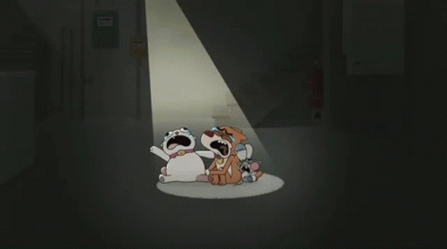 Cartoon Rocko Spotlight GIF