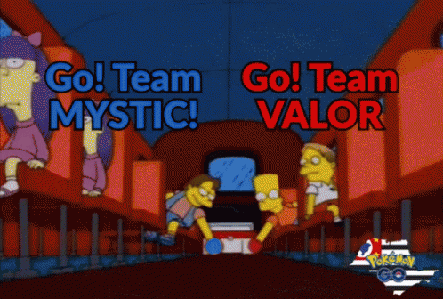 Cartoon Saying Go Team Mystic And Go Team Valor GIF