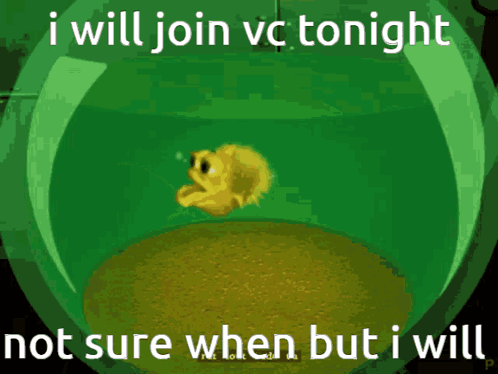 Cartoon Saying I Will Join VC Tonight