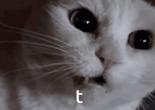 Cartoon Sheep Playing Yellow Piano With Rainbow Keys GIF