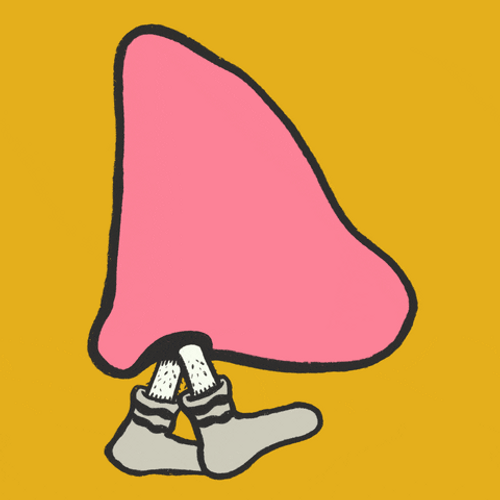 Cartoon Shoe The Nose Art GIF