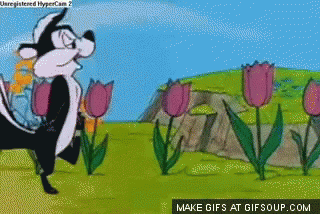 Cartoon Skunk in Field of Flowers
