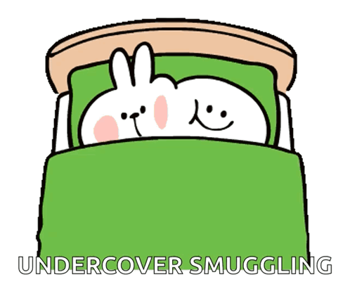 Cartoon Sleeping in Bed With Green Blanket Undercover Smuggling