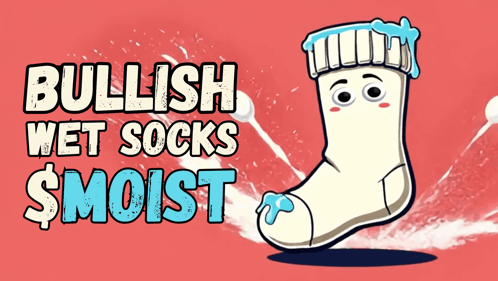 Cartoon Sock With Bullish Wet Socks Smoist