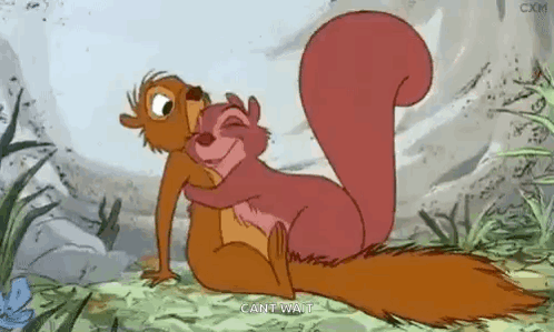 Cartoon Squirrels Hugging