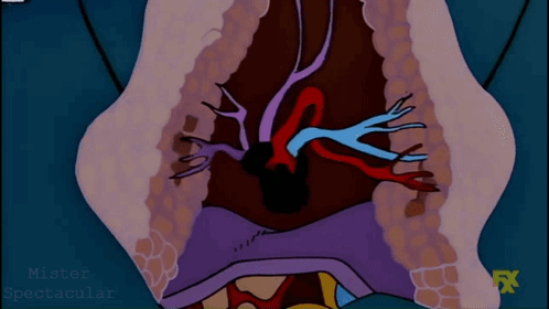 Cartoon Stomach With FX Written