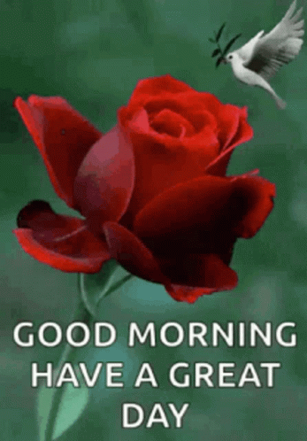Cartoon Sunflower Saying Good Morning