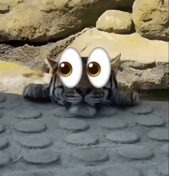 Cartoon Tiger Laying Down