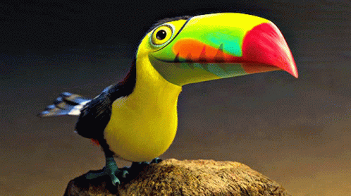 Cartoon Toucan With Colorful Beak on Rock