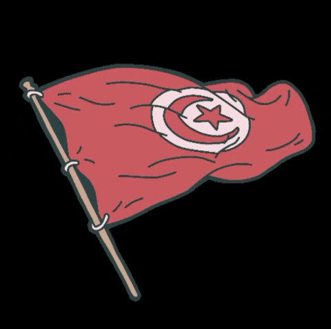Cartoon Tunisia Flag Drape GIF