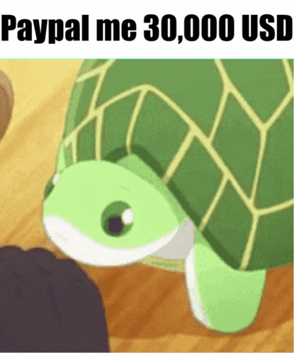 Cartoon Turtle Paypal Me 30000 Usd GIF