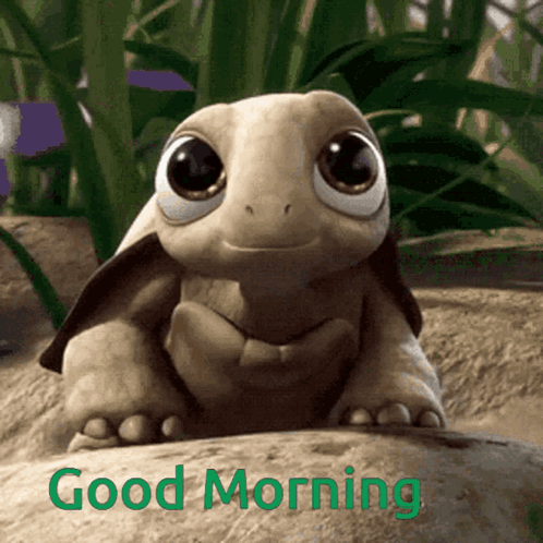 Cartoon Turtle Sitting on Rock Good Morning