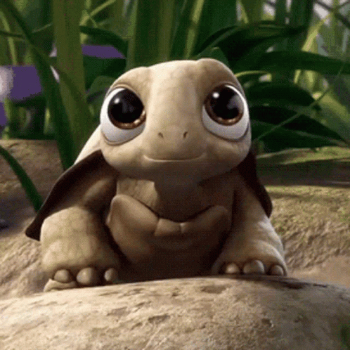 Cartoon Turtle Smiling on Rock