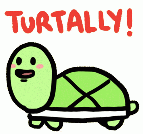 Cartoon Turtle Turtally GIF