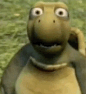 Cartoon Turtle with Big Eyes