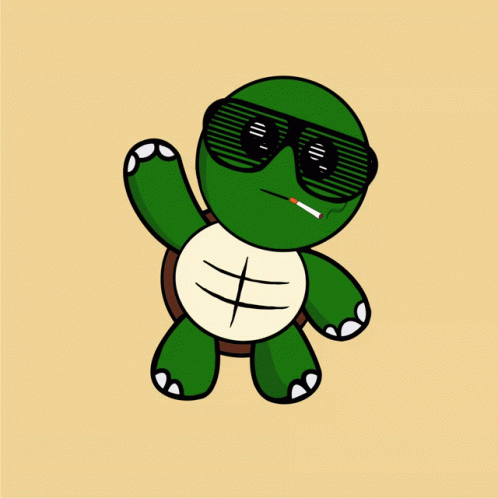 Cartoon Turtle With Sunglasses GIF
