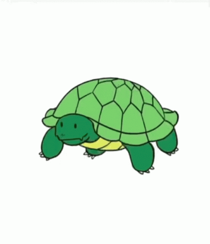 Cartoon Turtle Youve Just Been Turtled GIF