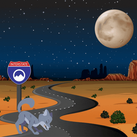 Cartoon Wolf Howl On Road GIF