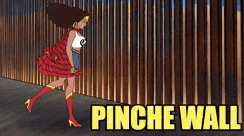 Cartoon Woman in Front of Fence Saying Pinche Wall