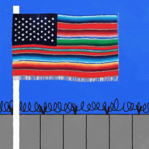 Cartoon Woman in Front of Fence Saying Pinche Wall