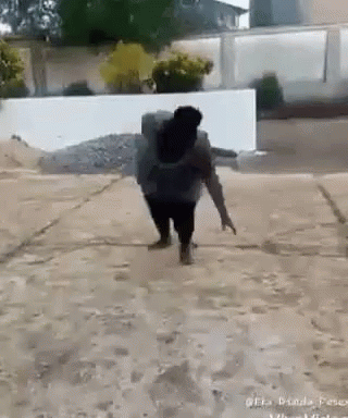 Cartwheel 320 X 384 Gif GIF