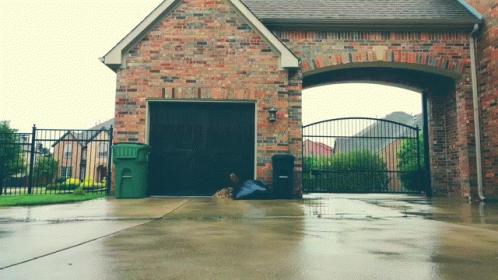 Man Perfect Cartwheel GIF