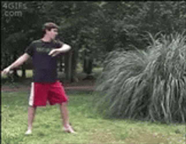 Cartwheel GIF