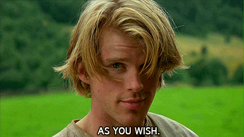Cary Elwes As You Wish GIF